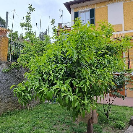 Affittacamere Antonella Μοντερόσο αλ Μάρε Εξωτερικό φωτογραφία