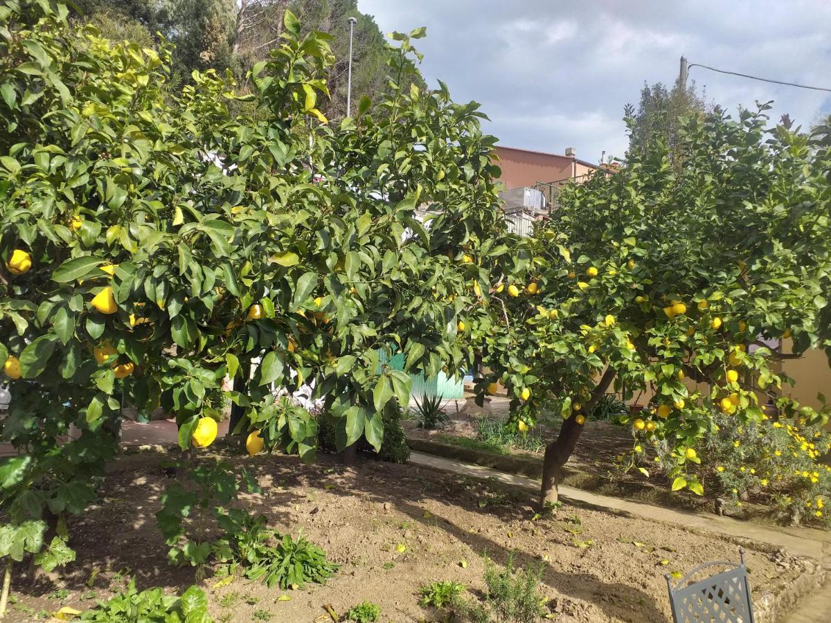 Affittacamere Antonella Μοντερόσο αλ Μάρε Εξωτερικό φωτογραφία