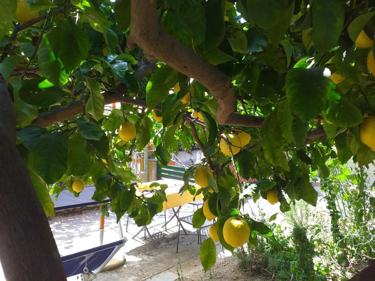 Affittacamere Antonella Μοντερόσο αλ Μάρε Εξωτερικό φωτογραφία